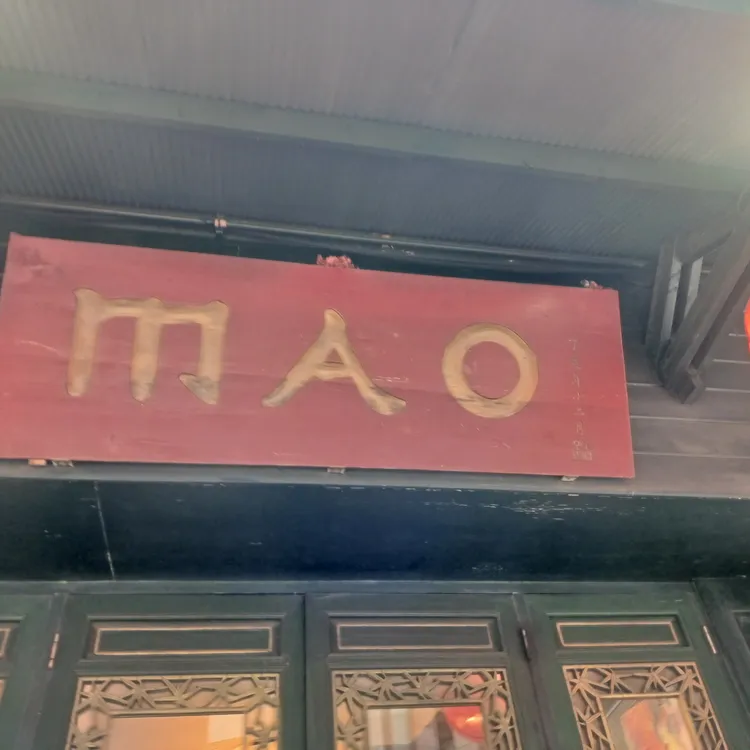마오 사진
