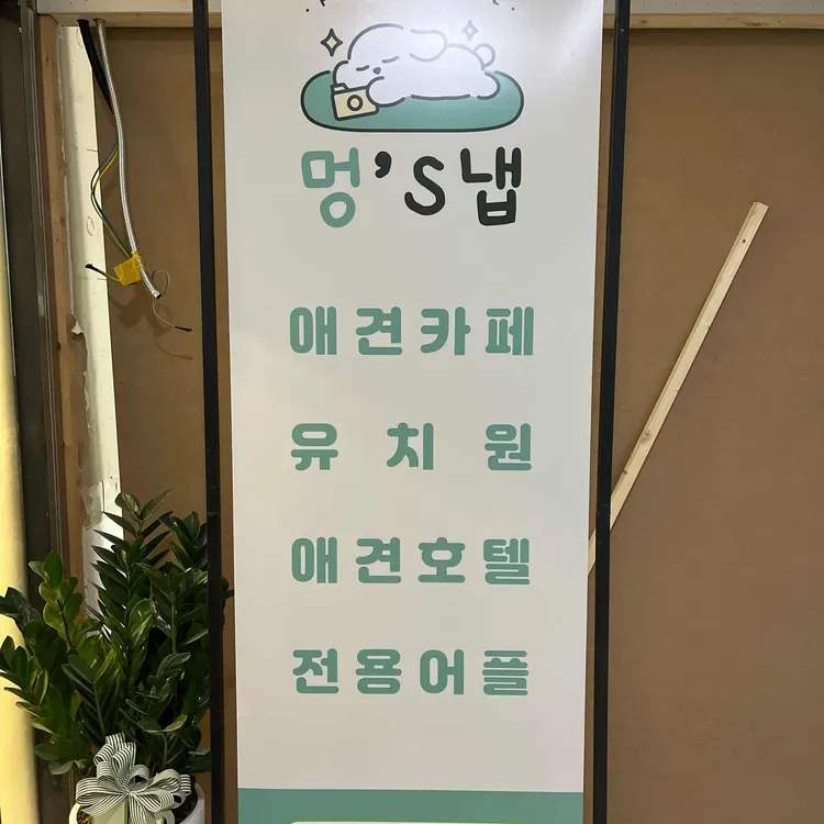 멍스냅 사진