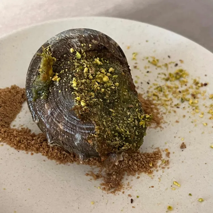 피쇽 사진