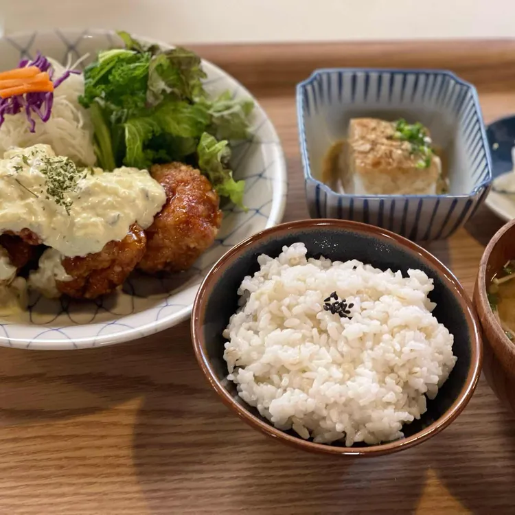 킨토 사진
