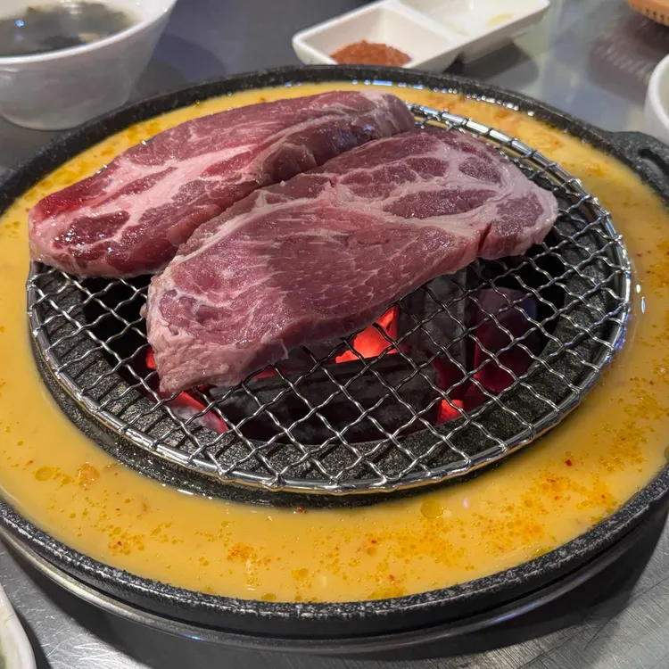 신마포갈매기 사진