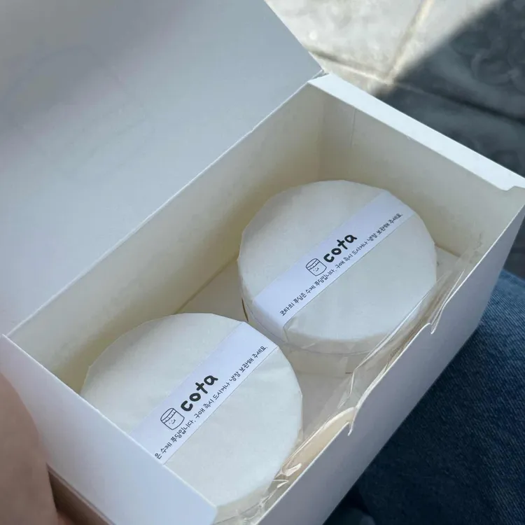 코타 사진