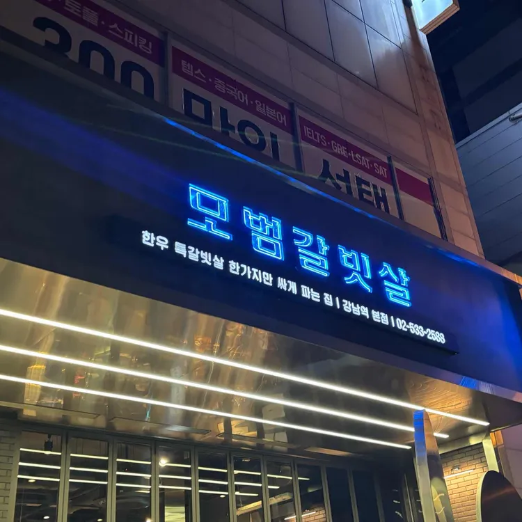 모범갈빗살 사진