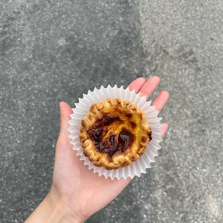 리타르트 사진