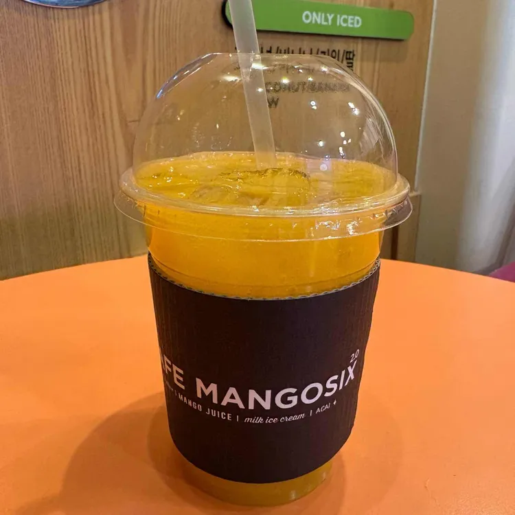 망고식스 사진