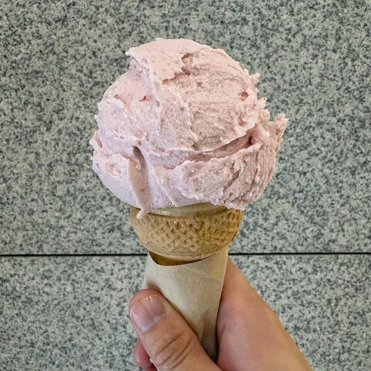 카페띠아모 사진