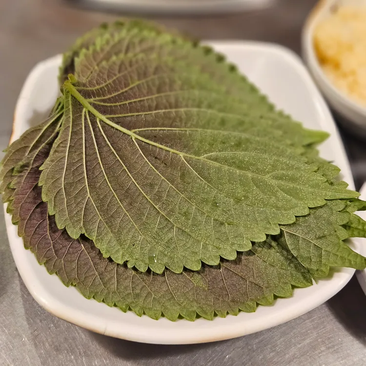 맛사랑쭈꾸미 사진