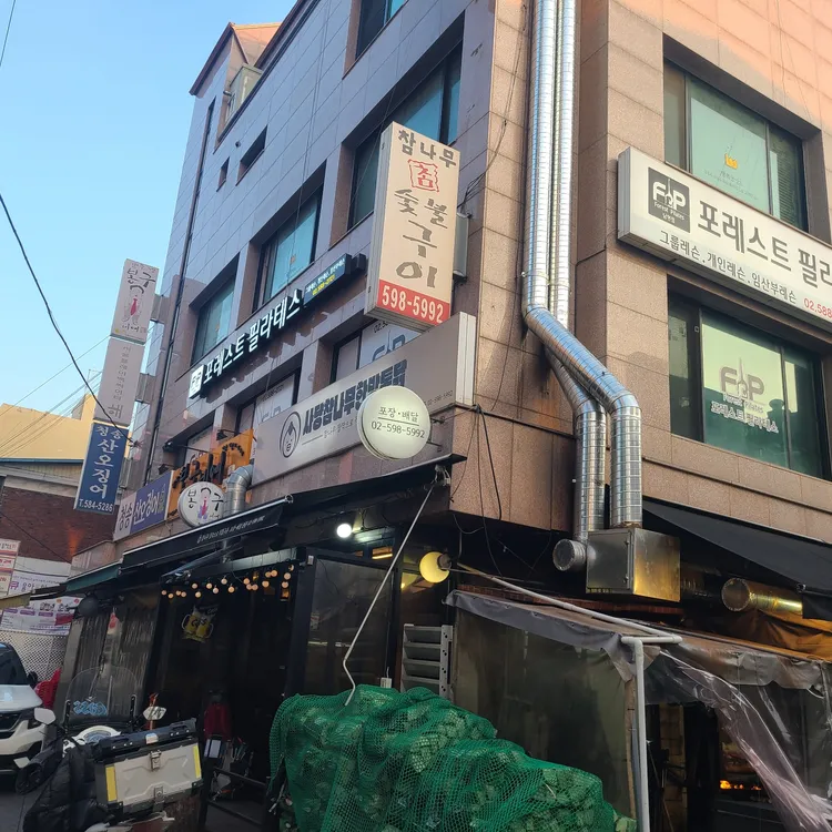 참나무 사진