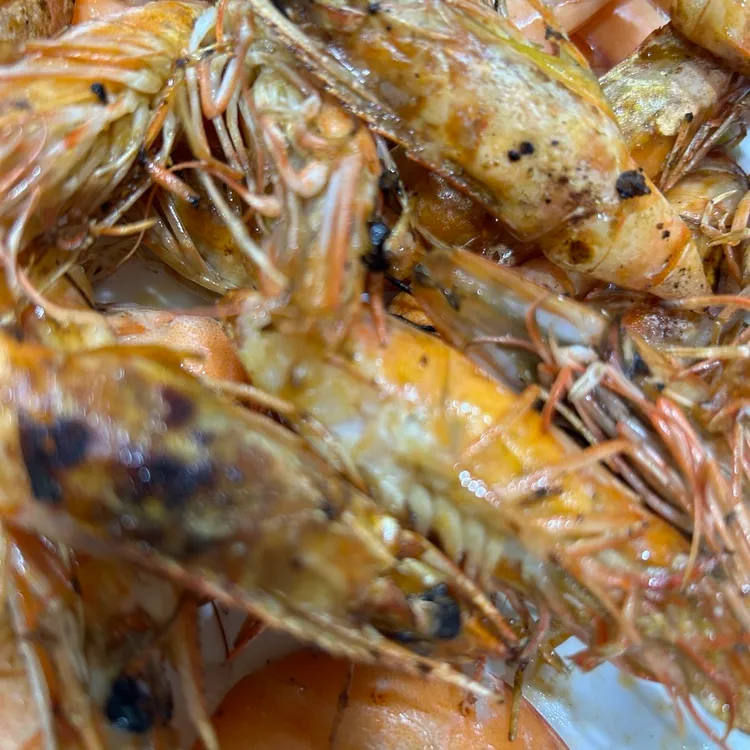 파도회 사진