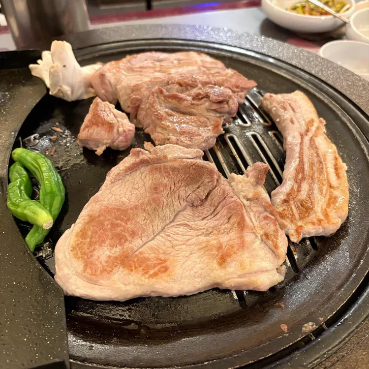 부산갈매기 사진