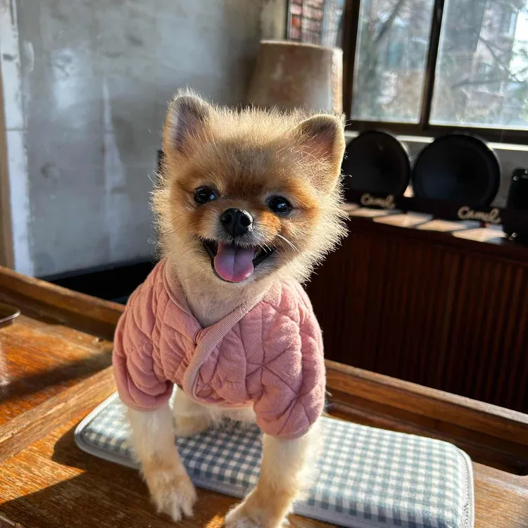 카멜커피 사진