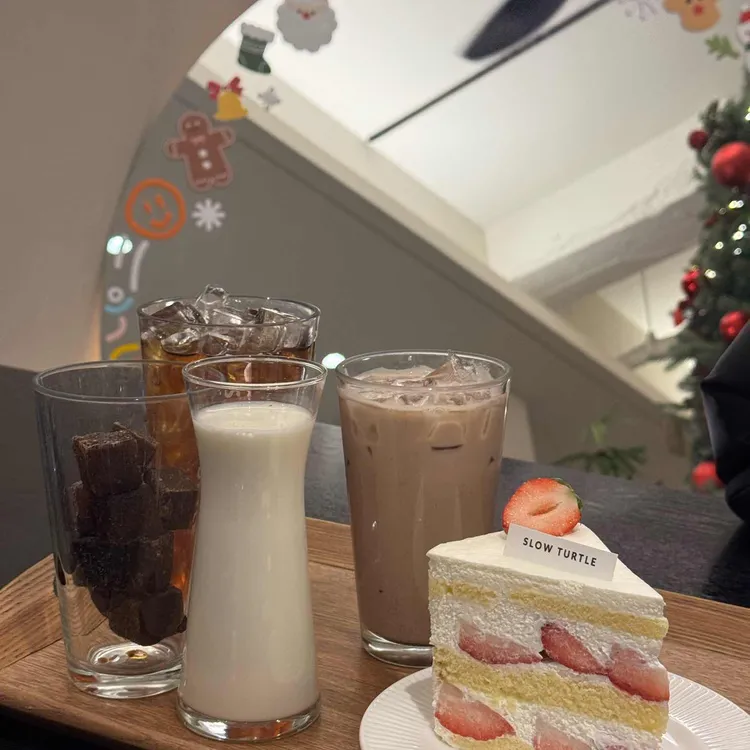 슬로우터틀 사진