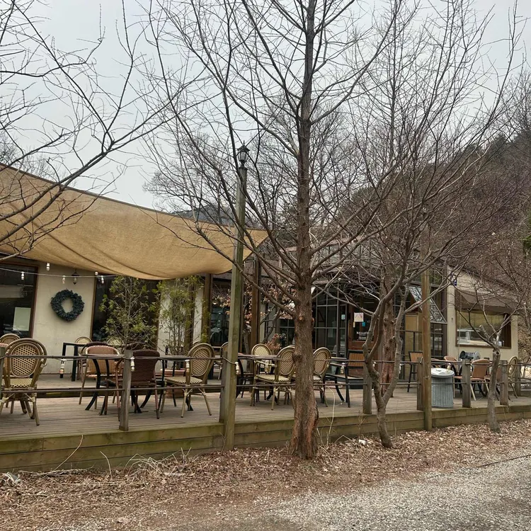 마이야르 사진