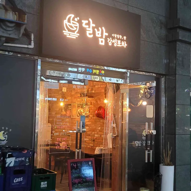 달밤 사진