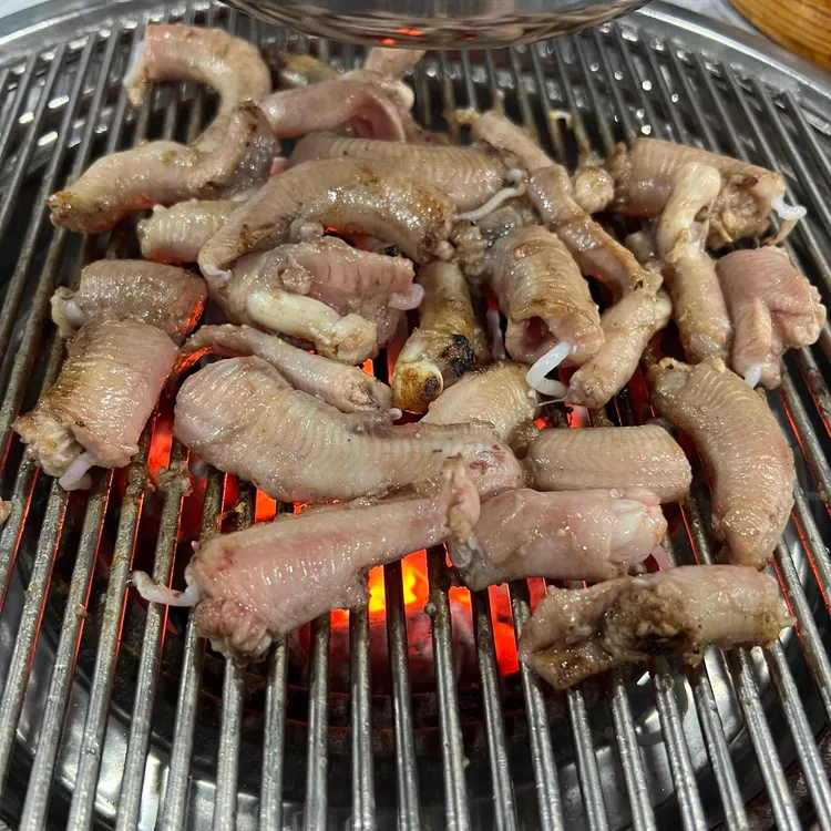 살아있네 꼼 사진