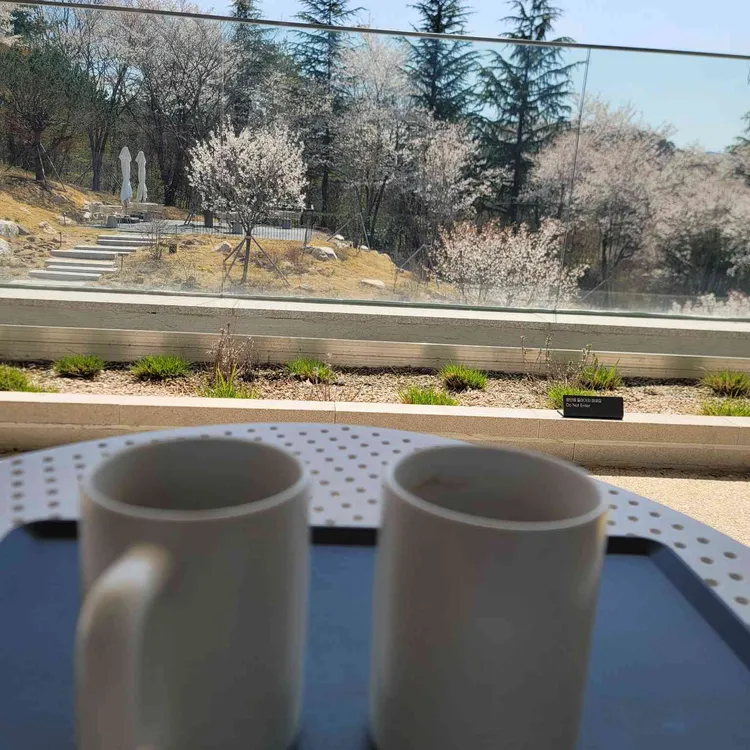 몽구도원 사진