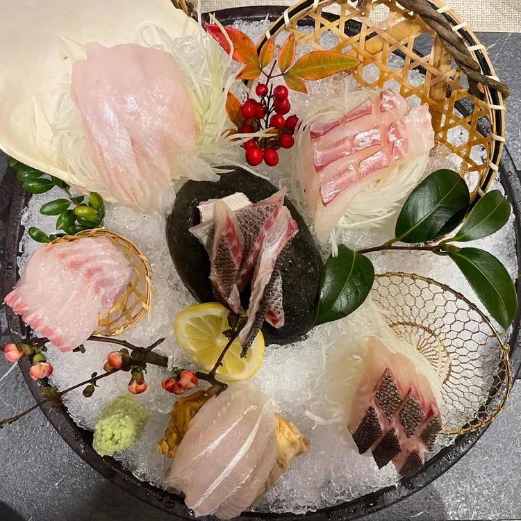 한스시 사진