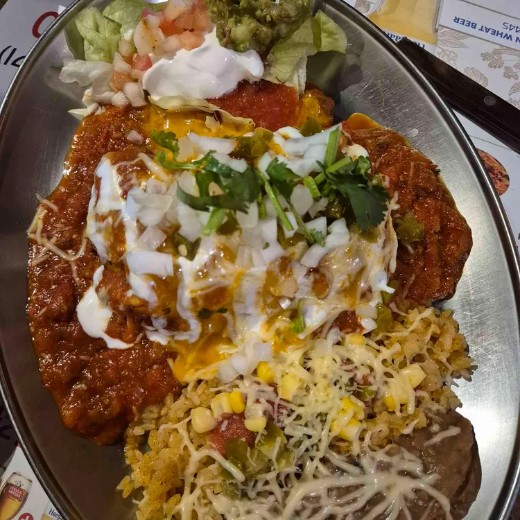 로이스타코 사진