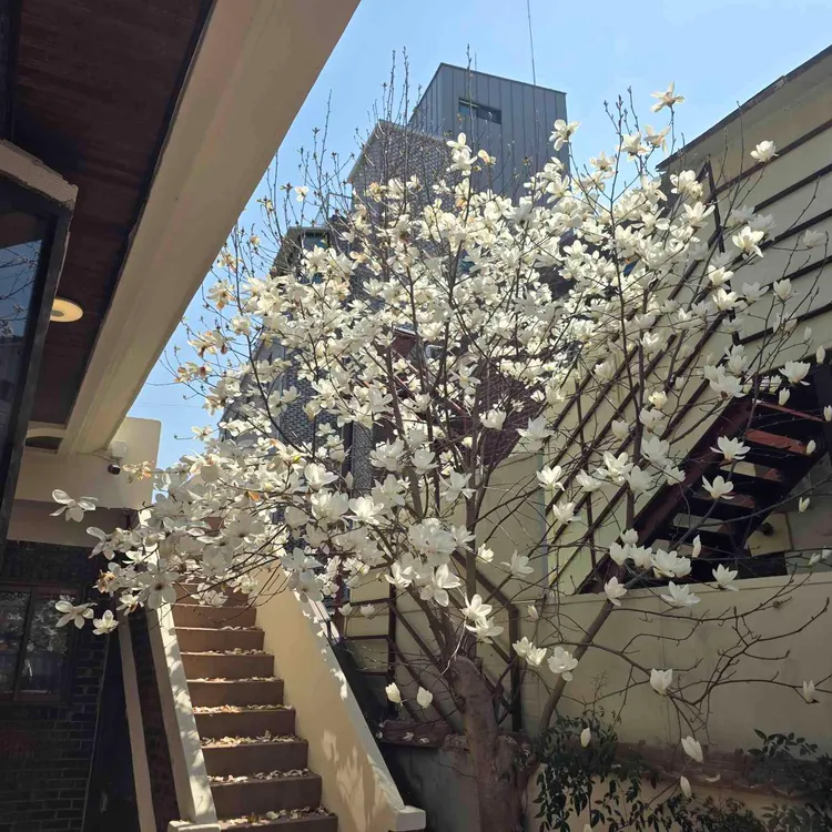 유람 사진