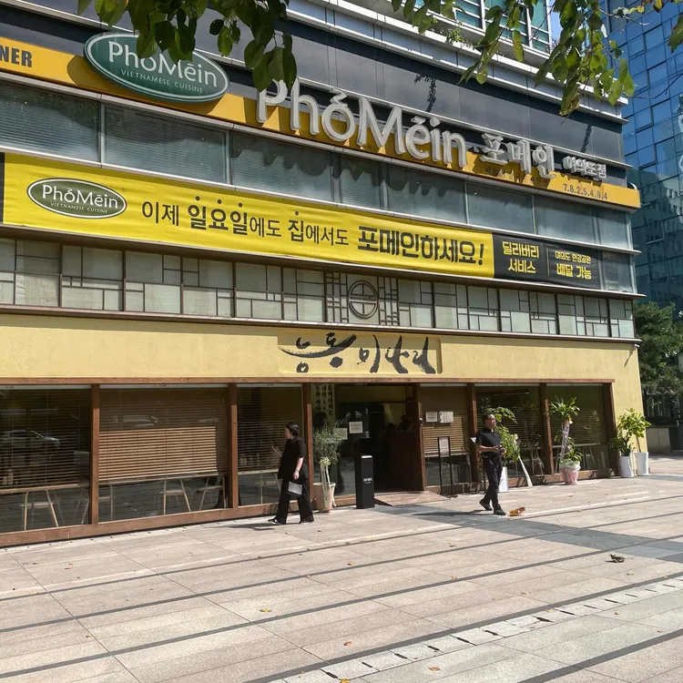 능동미나리 사진