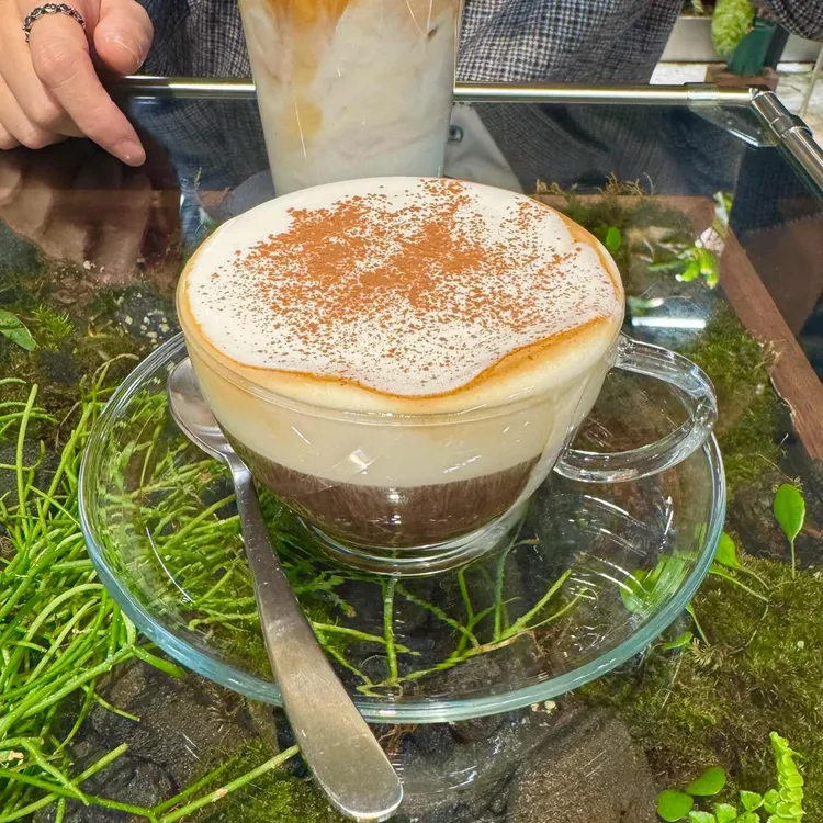 이끼 사진