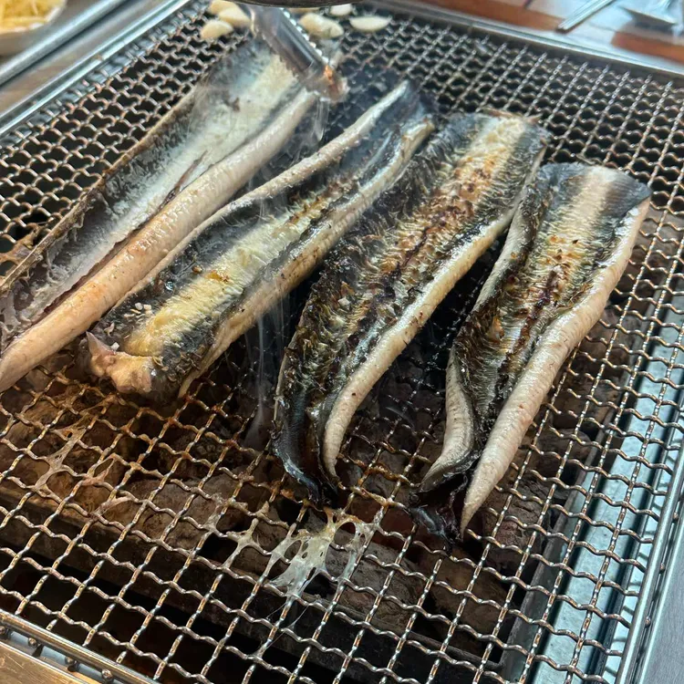 장어의꿈 사진