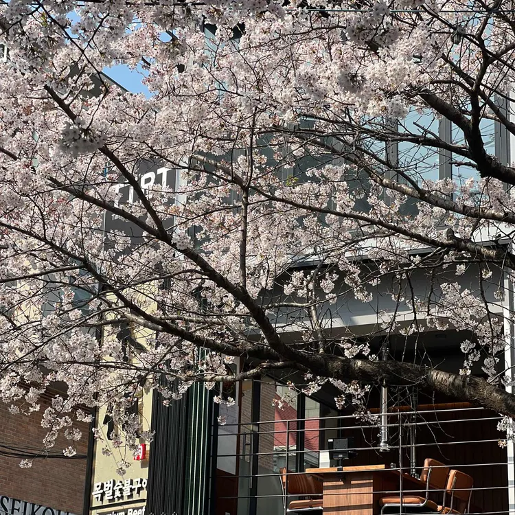목벌 사진