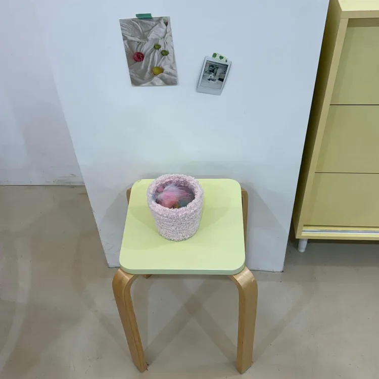 데니도니 사진