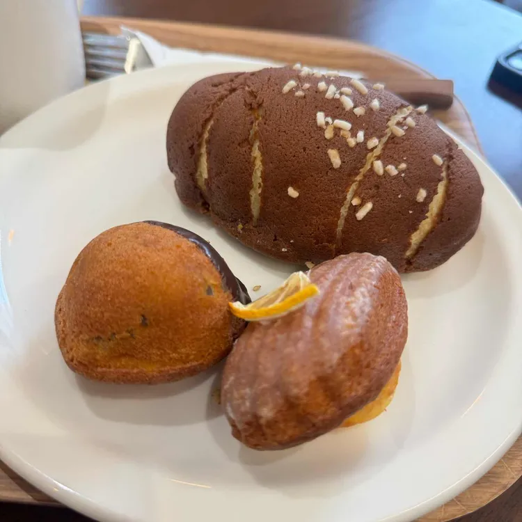 못티 사진
