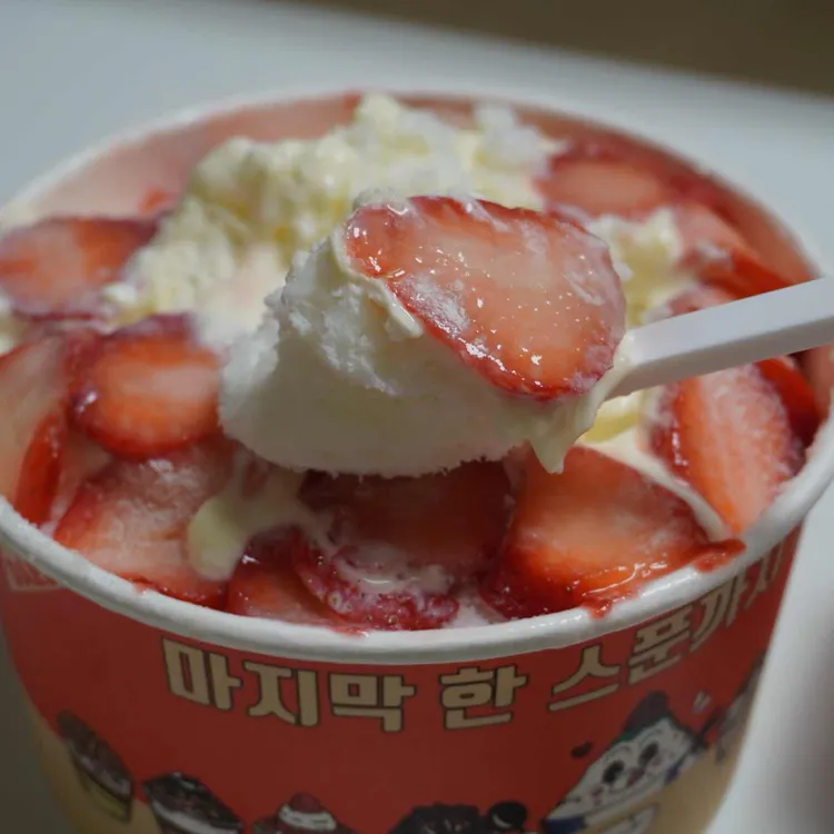 대설 사진