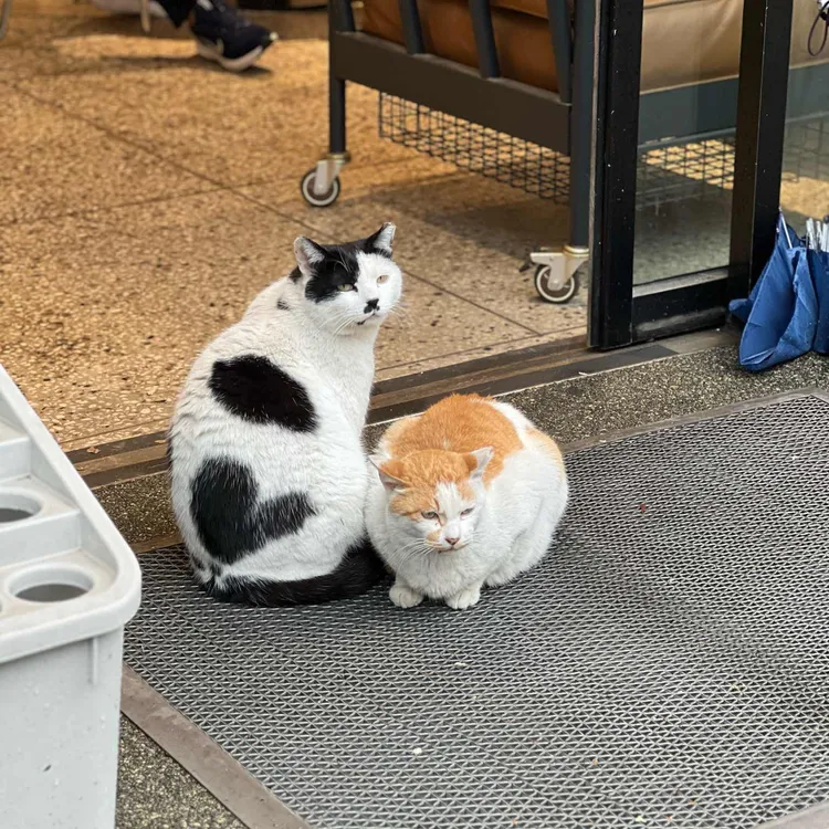 의외의조합 사진