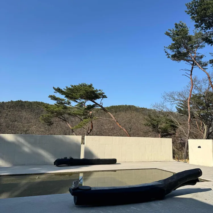 묵리459 사진