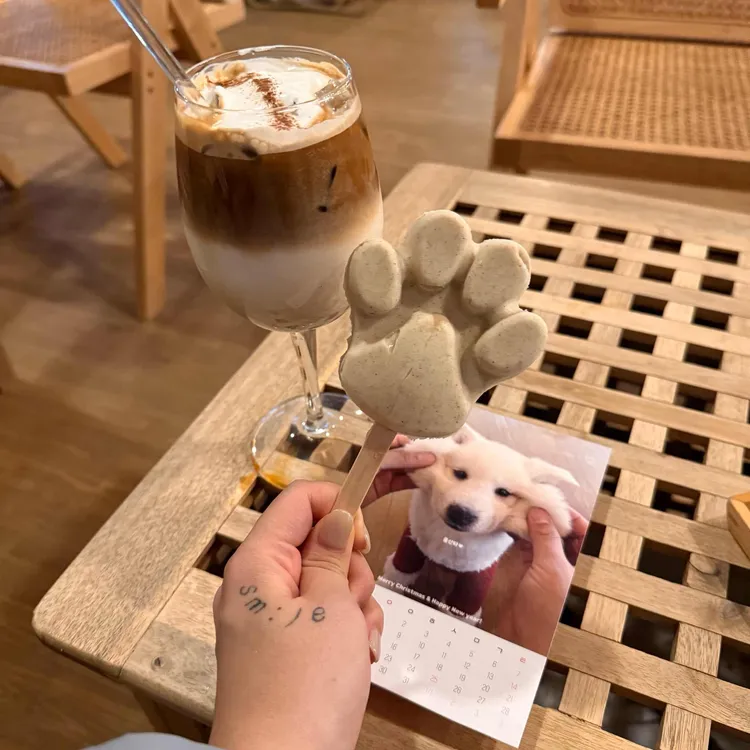풍사니랑 사진