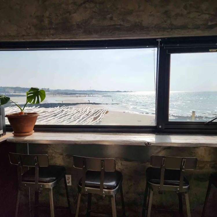 제제 그리너 사진