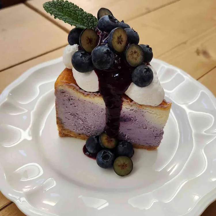 리브인오후 사진