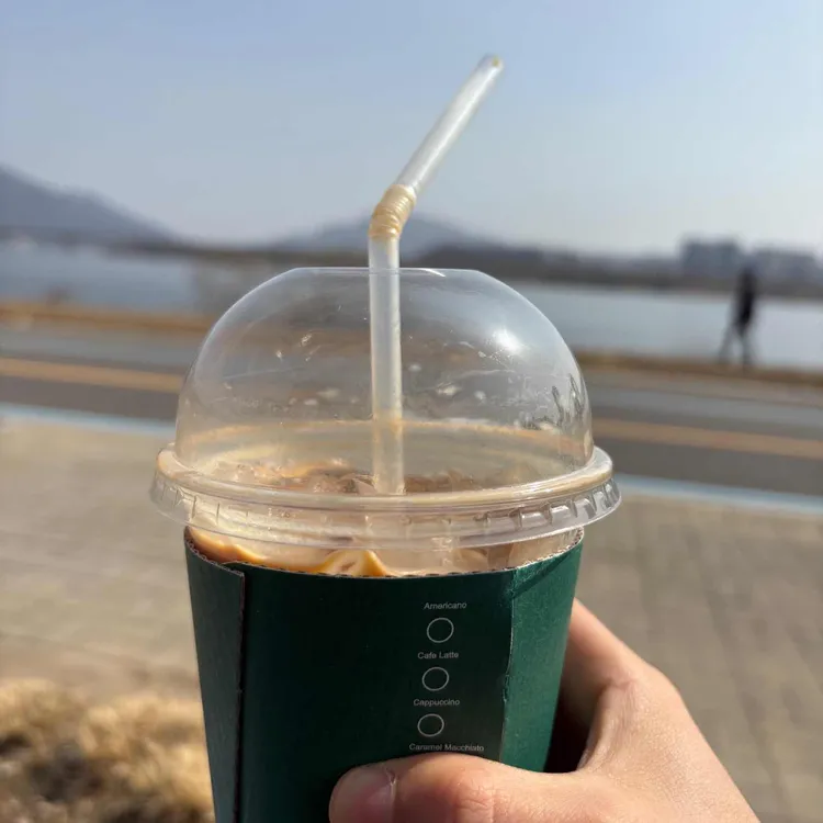 트윈트리 사진