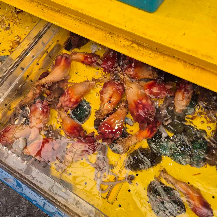 백일도 사진