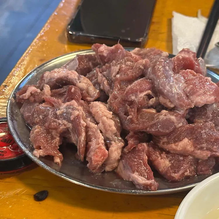 나노갈매기 사진