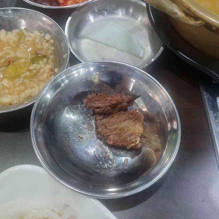 은행나무 갈매기 사진