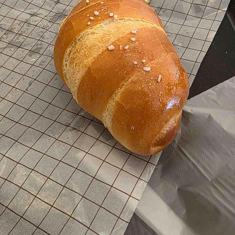 보스코 사진