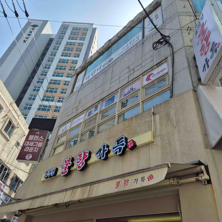 조명현불향가득 사진