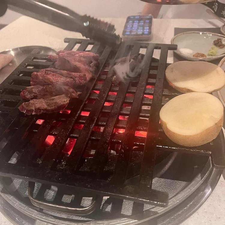 백송 사진