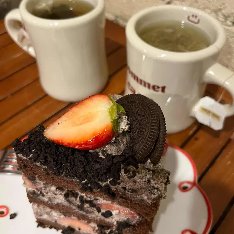터틀힙 사진