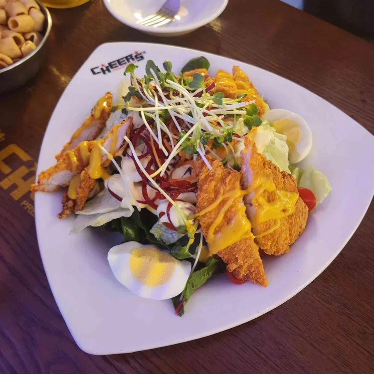 치어스 사진