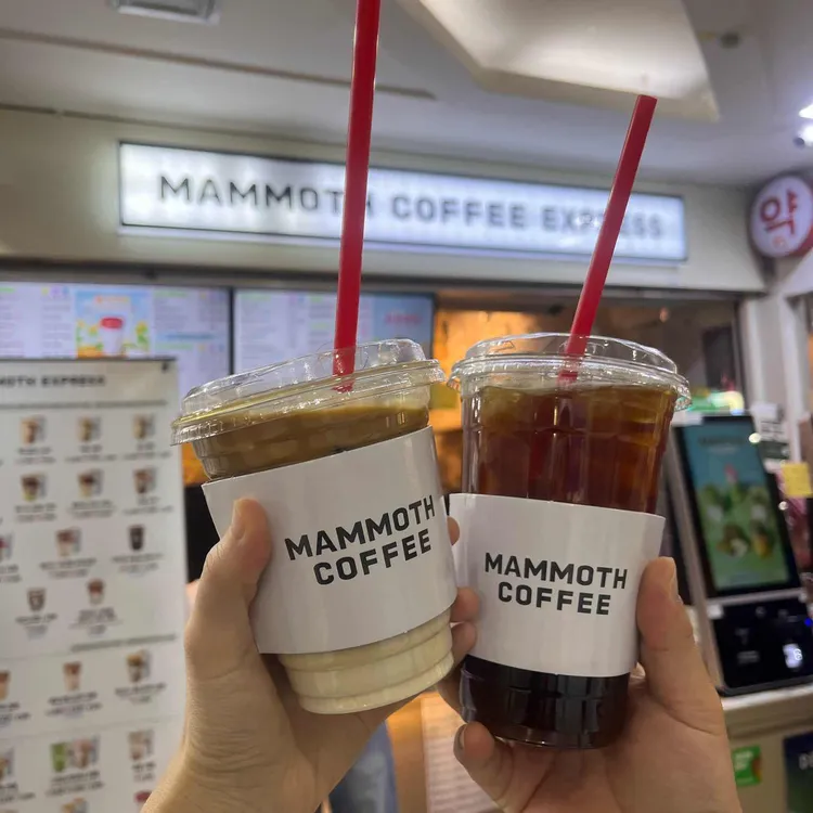매머드익스프레스 사진