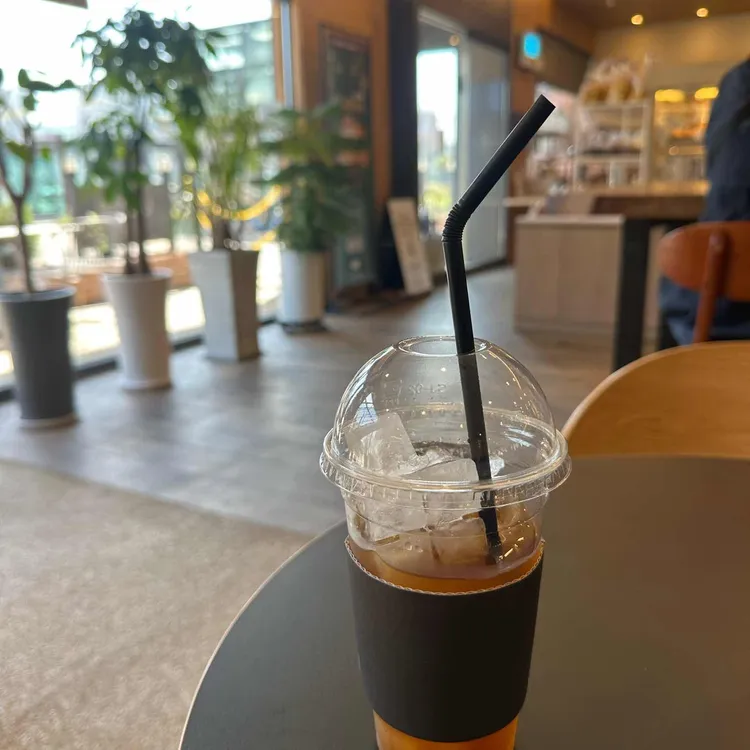 로마니나 사진
