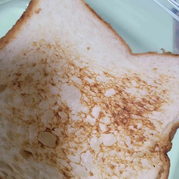 폴바셋 사진