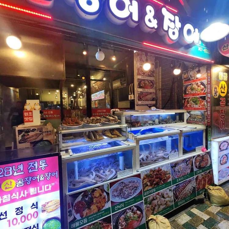 통영곰장어 장어 사진