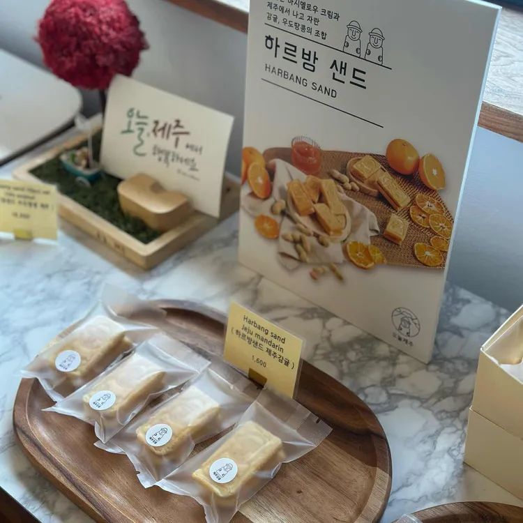오늘제주 사진