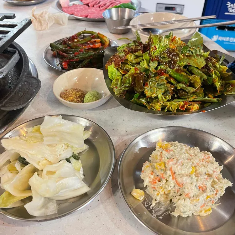 백송 사진